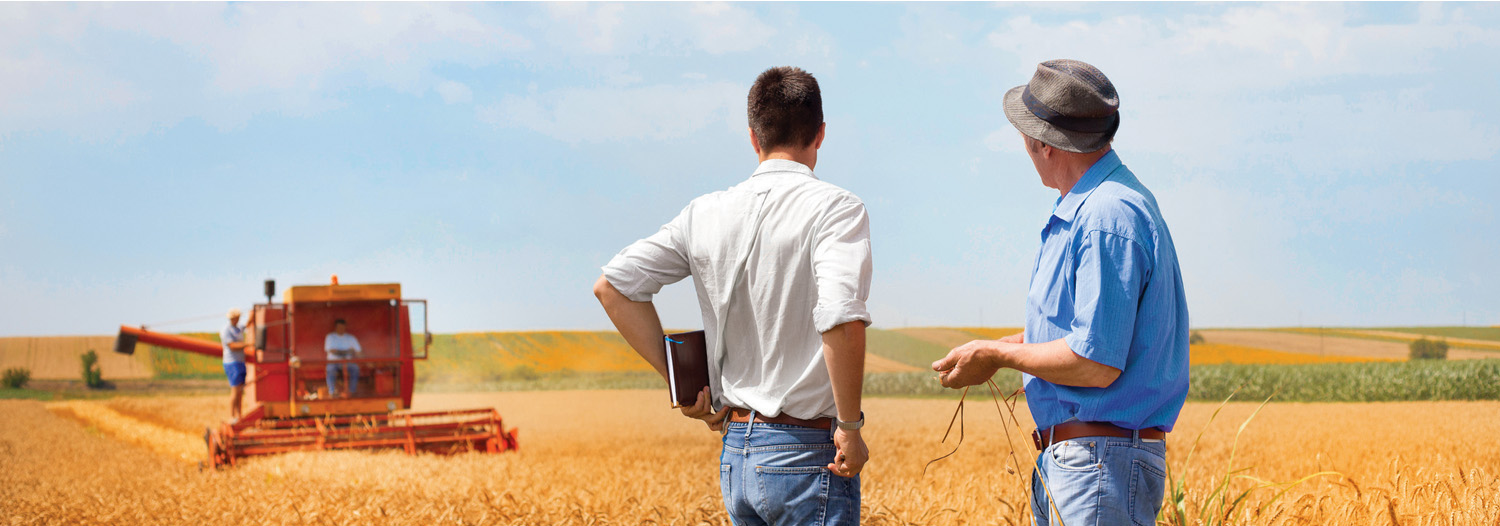 farmers shaking hands